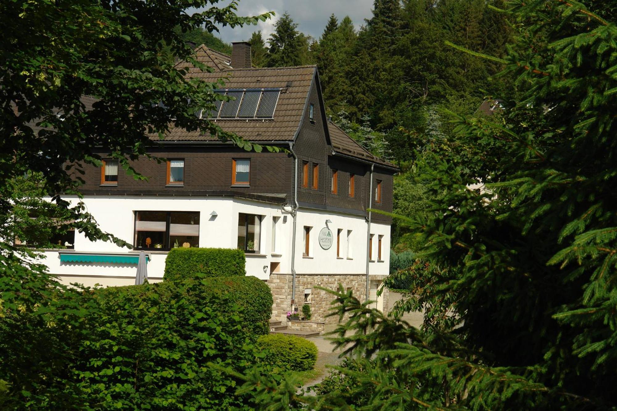 Haus Hesseberg Hotel Medebach Exterior photo